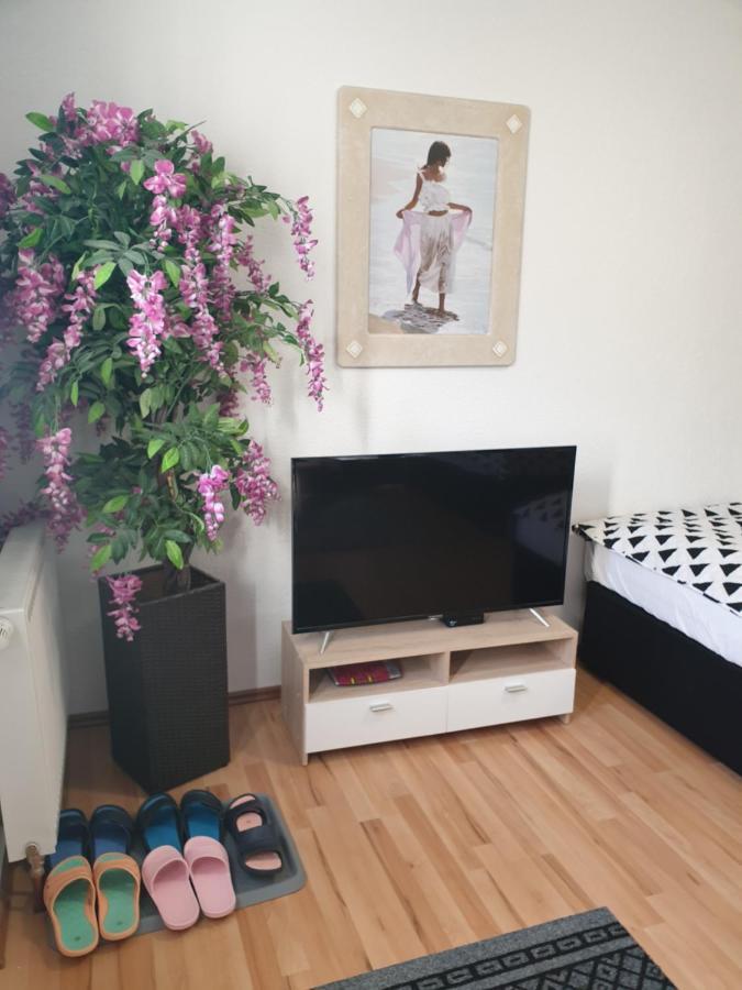 Dm Apartment Триберг Экстерьер фото